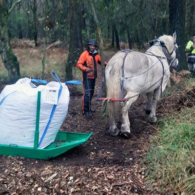 Agroforesterie